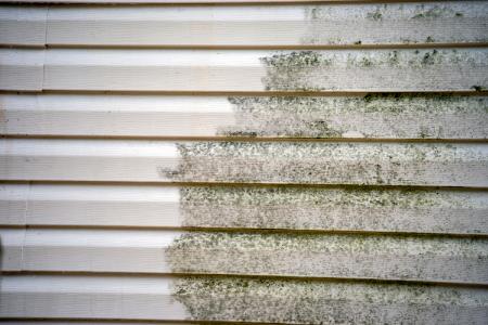 Soft Washing Vs. Traditional Pressure Washing: Which Is Right For Your Home?